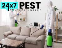 247 Cockroach Pest Control Hobart image 7